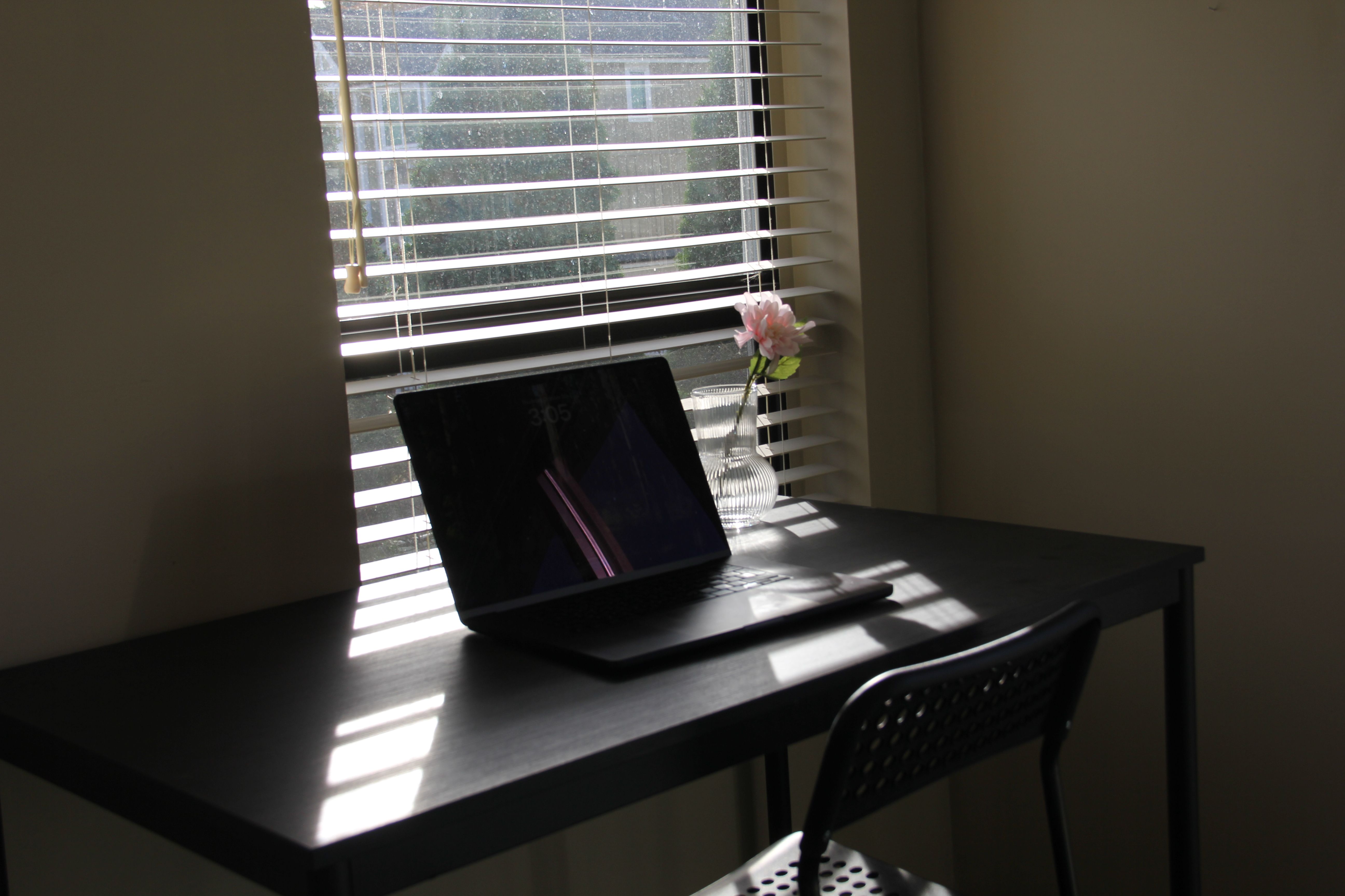 Furnished Room 6 with Balcony for 1-2 People in Burquitlam